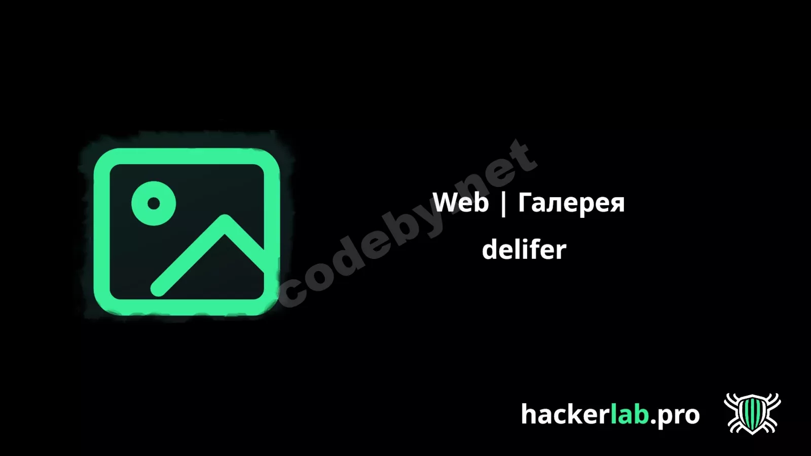 HackerLabGallery.webp